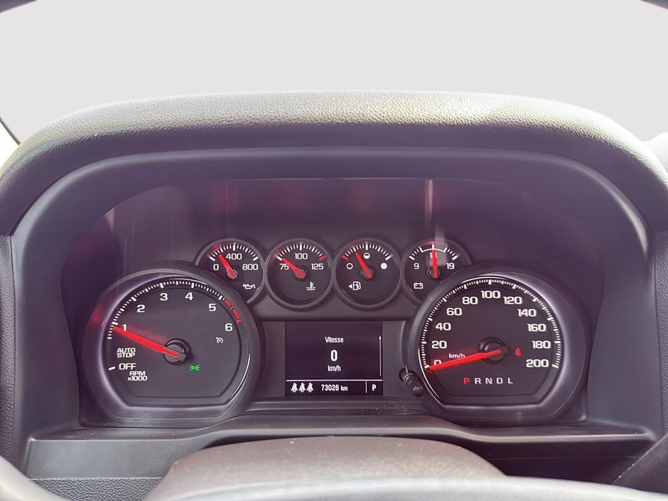 2024 Chevrolet Silverado 1500 Custom Trail Boss-14