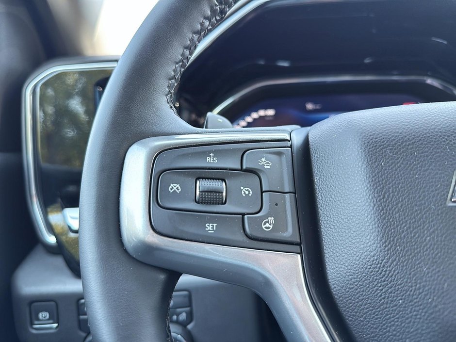 Chevrolet Silverado 1500 LT Trail Boss 2025-14