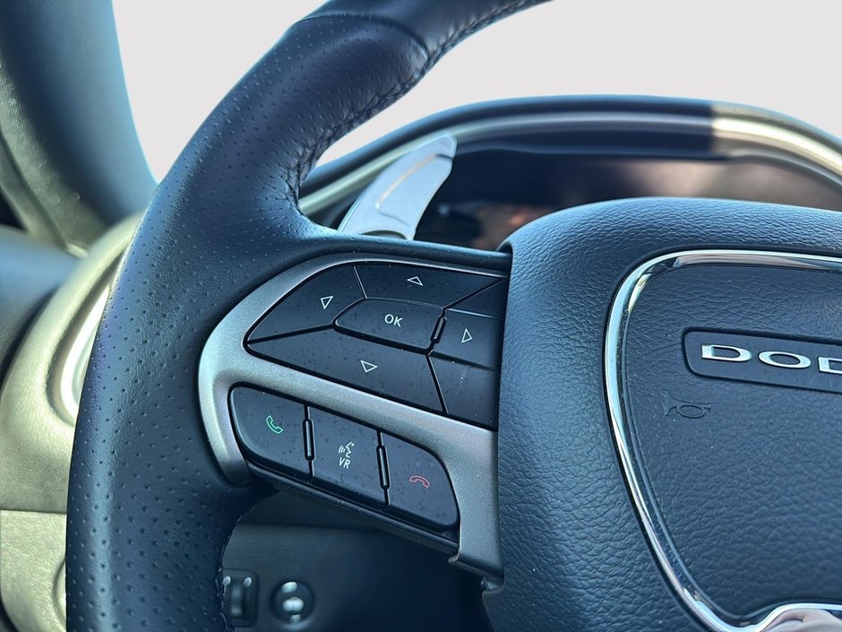 2019 Dodge Challenger R/T-13