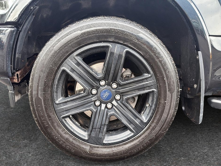2019 Ford F-150-5