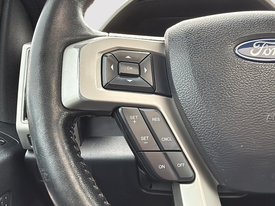 2019 Ford F-150-13