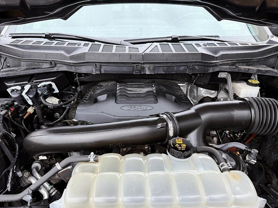 Ford F-150 XLT SPORT 2022-5