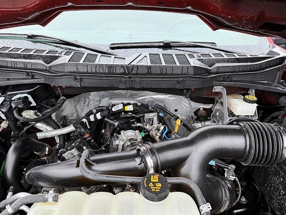 Ford F-150 XL STX 2023-6