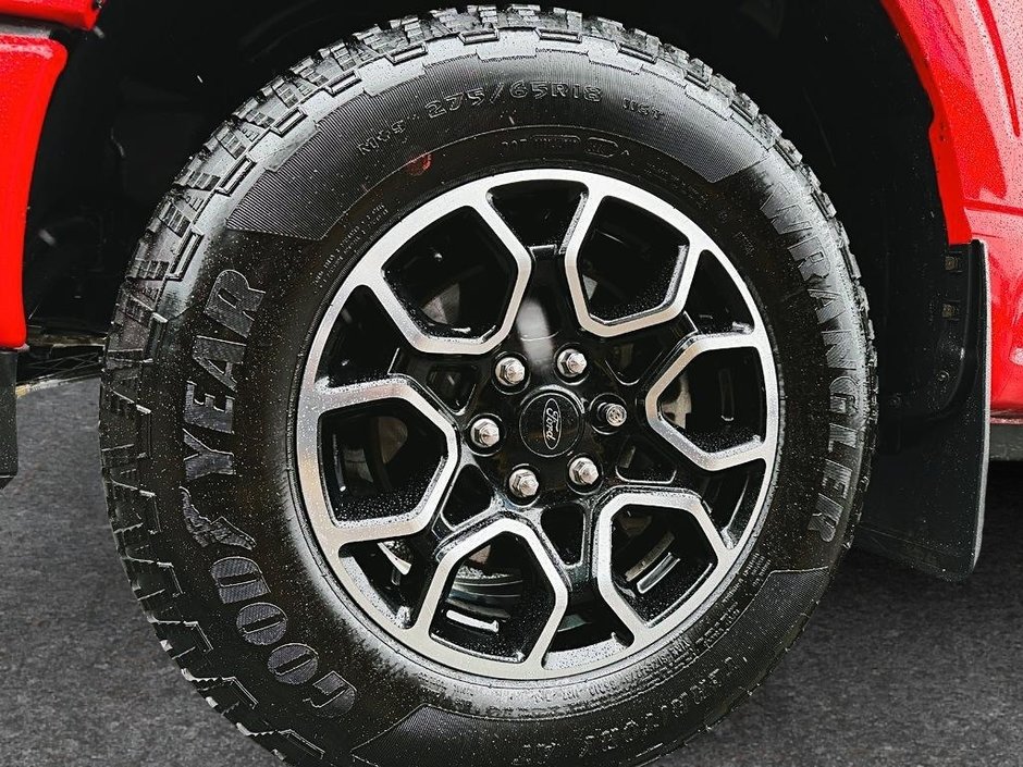 Ford F-150 XL STX 2023-5