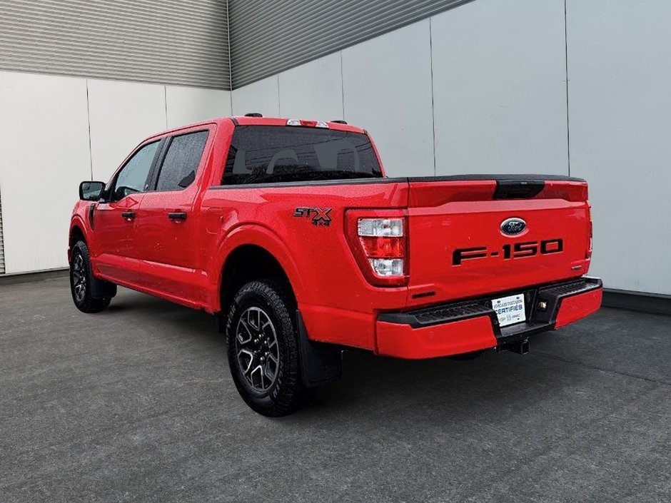 Ford F-150 XL STX 2023-4
