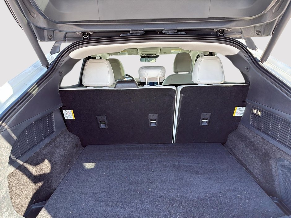 Ford Mustang Mach-E Premium 2021-5