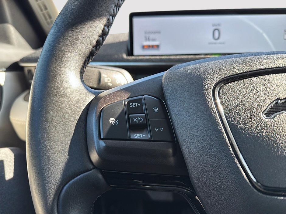 Ford Mustang Mach-E Premium 2021-14