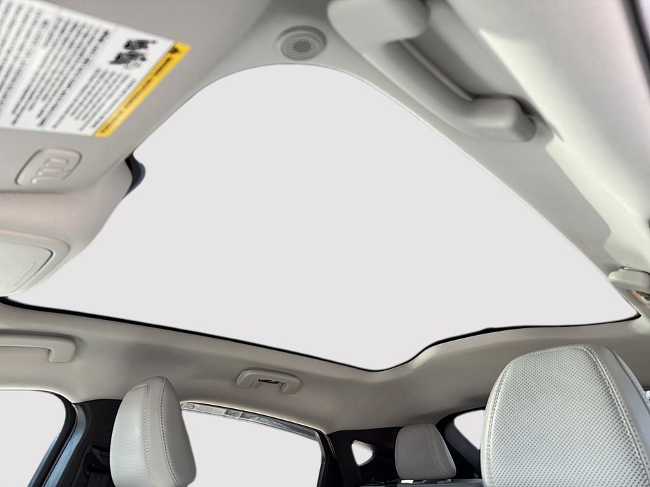 Ford Mustang Mach-E Premium 2021-19