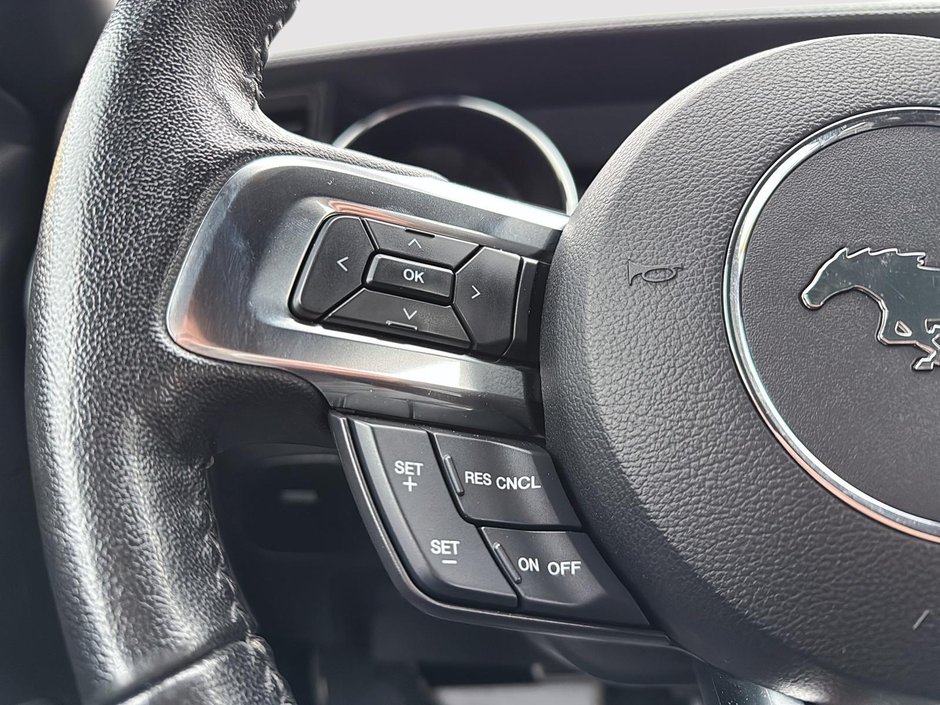 Ford Mustang EcoBoost Premium 2016-15