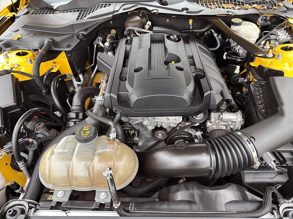 Ford Mustang EcoBoost Premium 2016-8