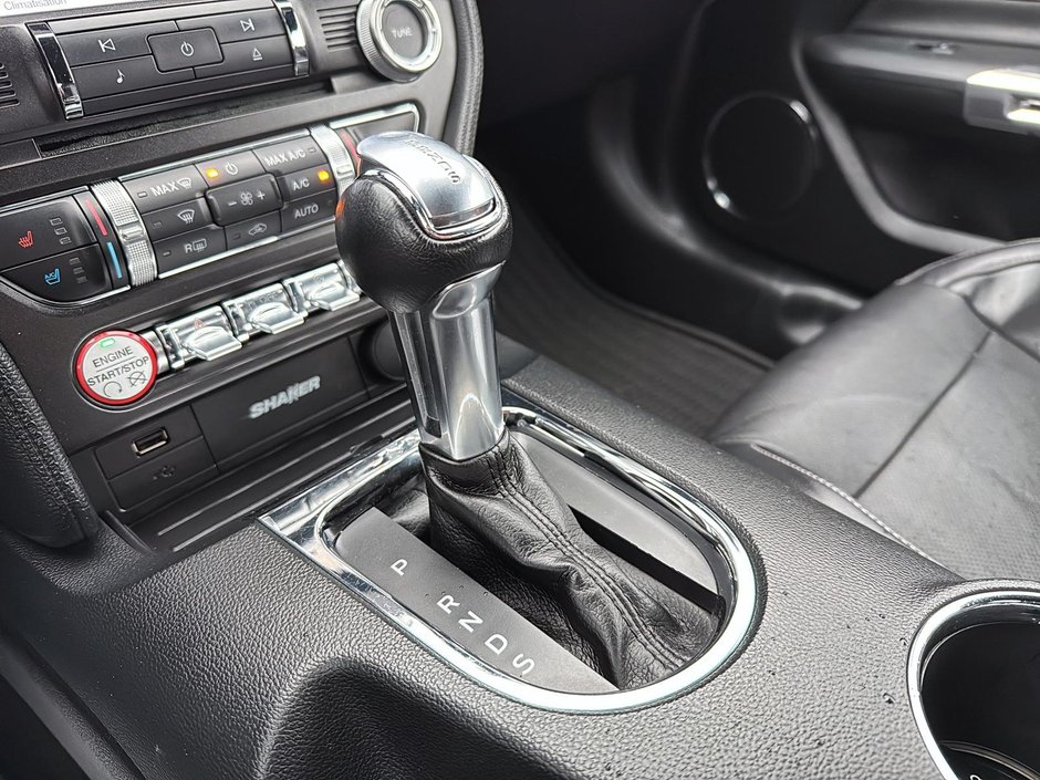 Ford Mustang EcoBoost Premium 2016-19