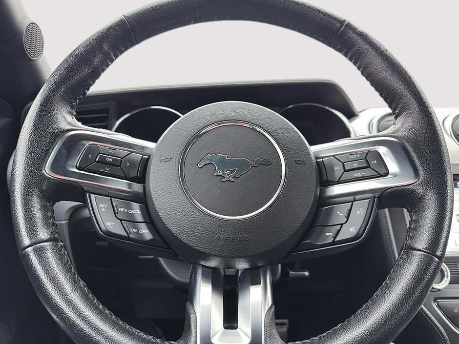 Ford Mustang EcoBoost Premium 2016-14