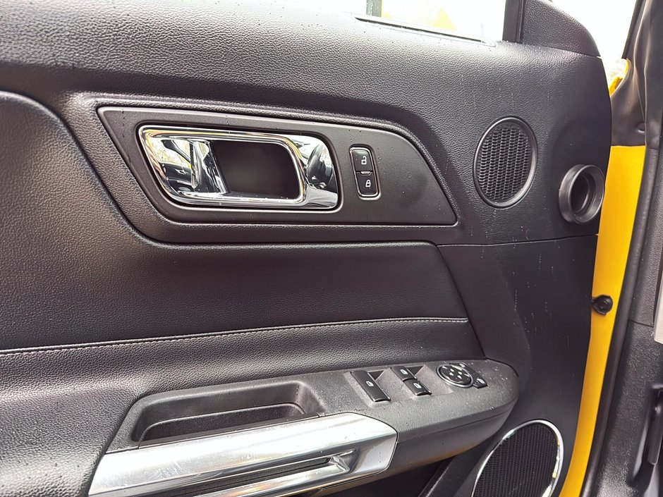 Ford Mustang EcoBoost Premium 2016-12