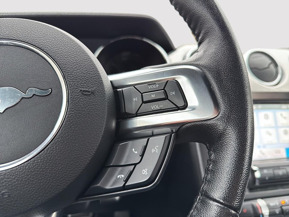 Ford Mustang EcoBoost Premium 2016-16