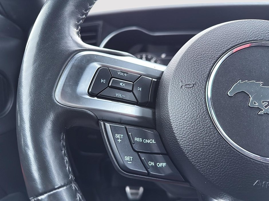 2020 Ford Mustang GT Premium-14