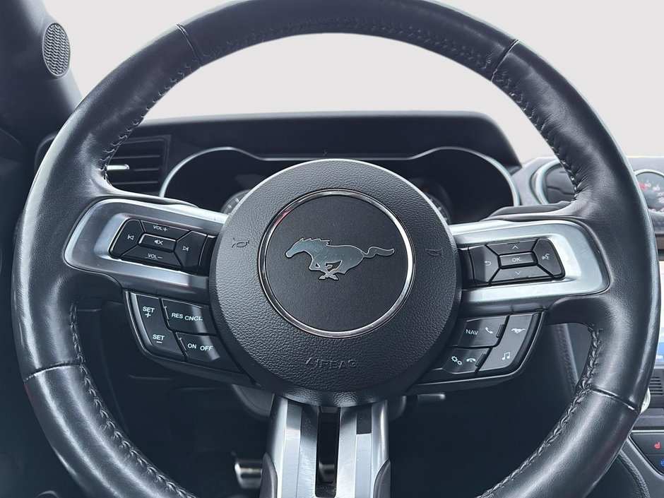 2020 Ford Mustang GT Premium-13