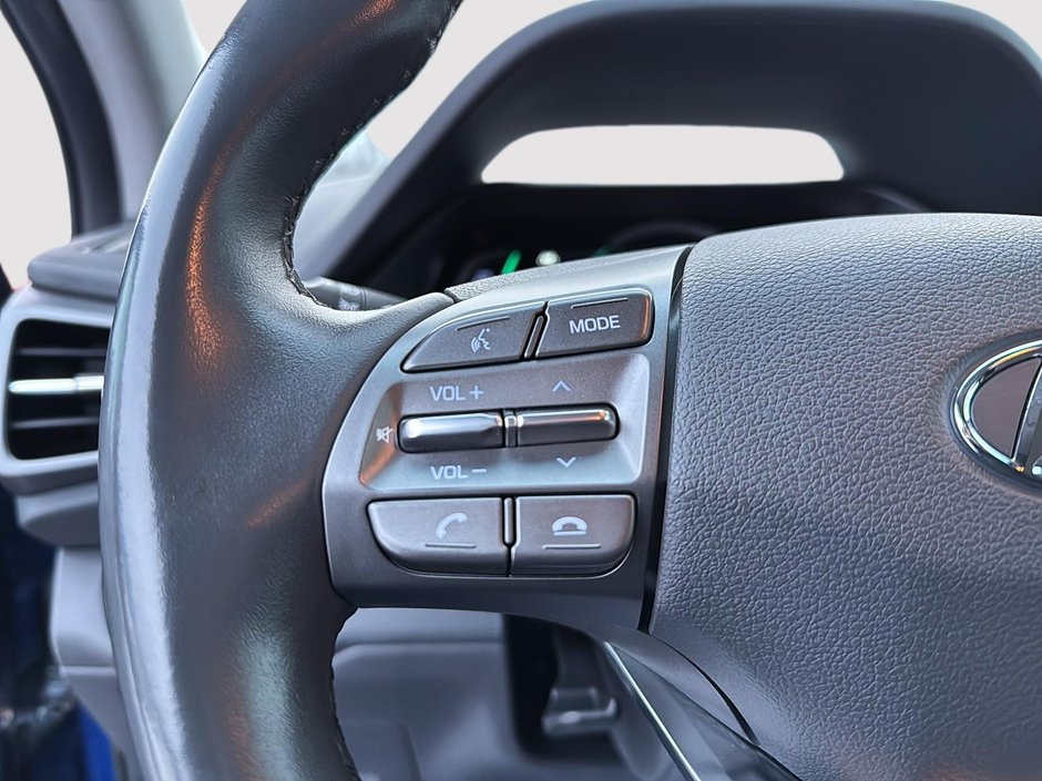 Hyundai Ioniq Electric Preferred 2020-12