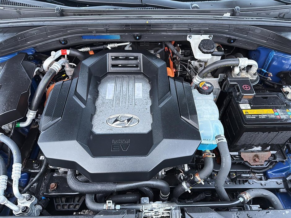 Hyundai Ioniq Electric Preferred 2020-6