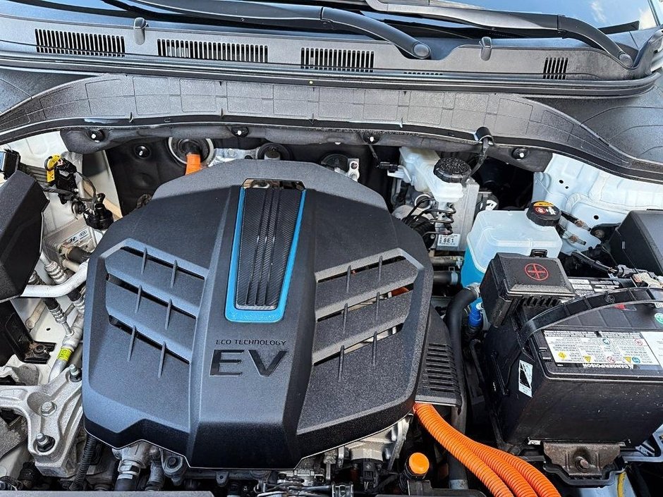 Hyundai KONA ELECTRIC Preferred 2020-6