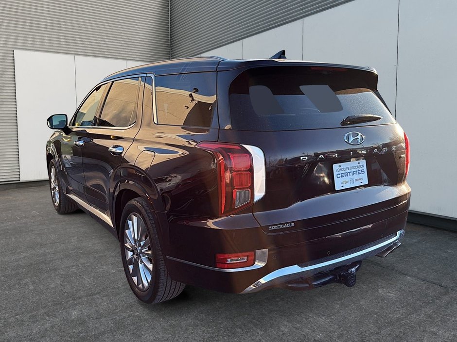 2020 Hyundai Palisade Ultimate-3