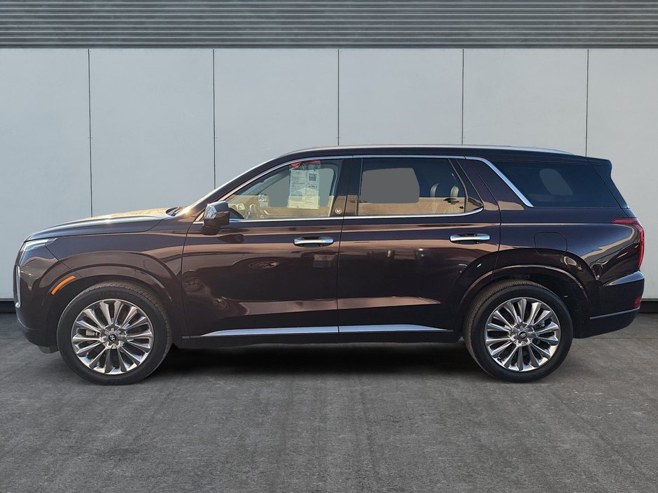 2020 Hyundai Palisade Ultimate-4