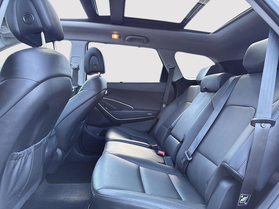 2019 Hyundai Santa Fe XL Luxury-9
