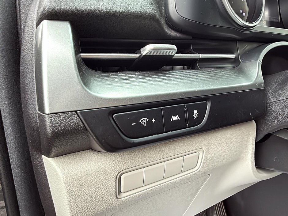 Kia Carnival LX 2022-13