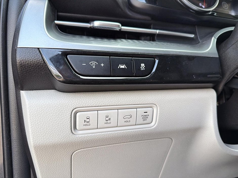 Kia Carnival LX 2023-13