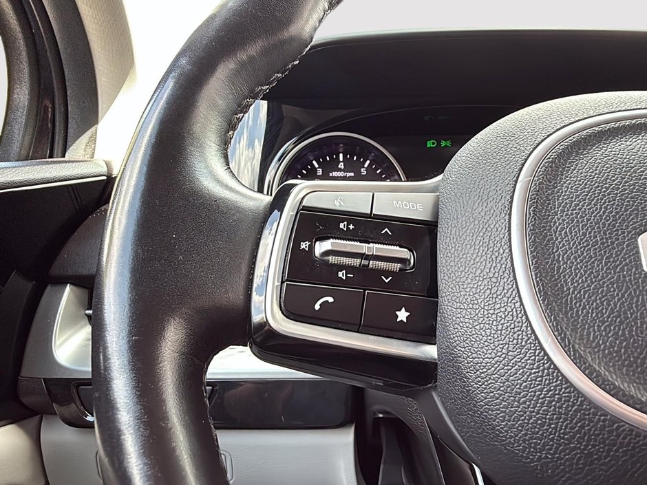 Kia Carnival LX 2023-15