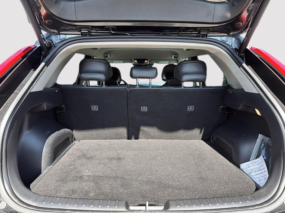 2024 Kia Niro EV-5