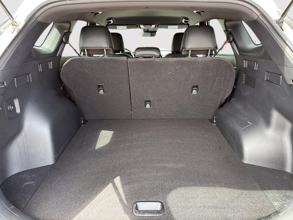 2024 Kia Sportage-5