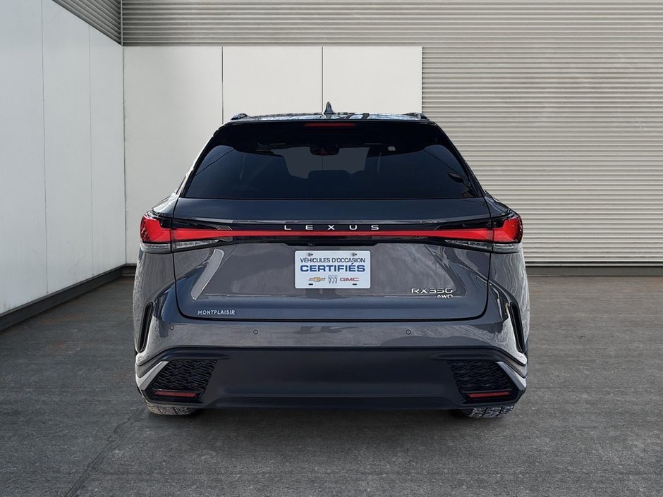 2023 Lexus RX 350-2