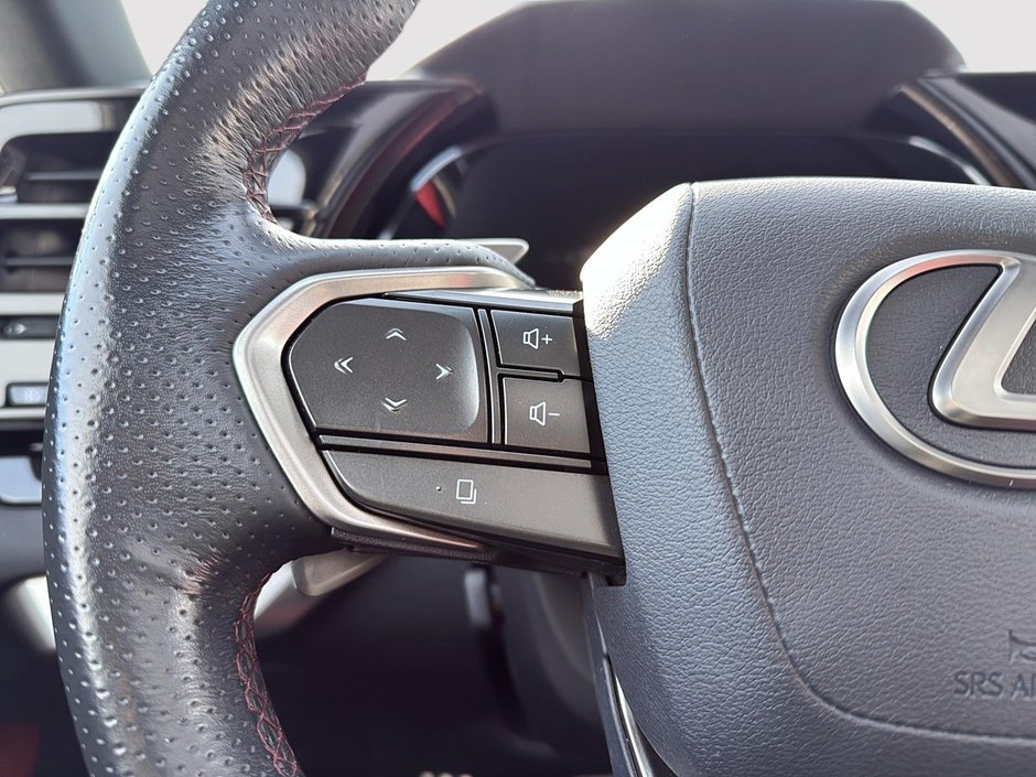 2023 Lexus RX 350-15