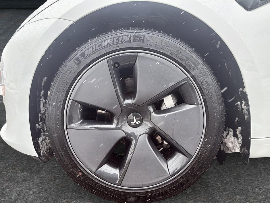 2023 Tesla Model 3-5