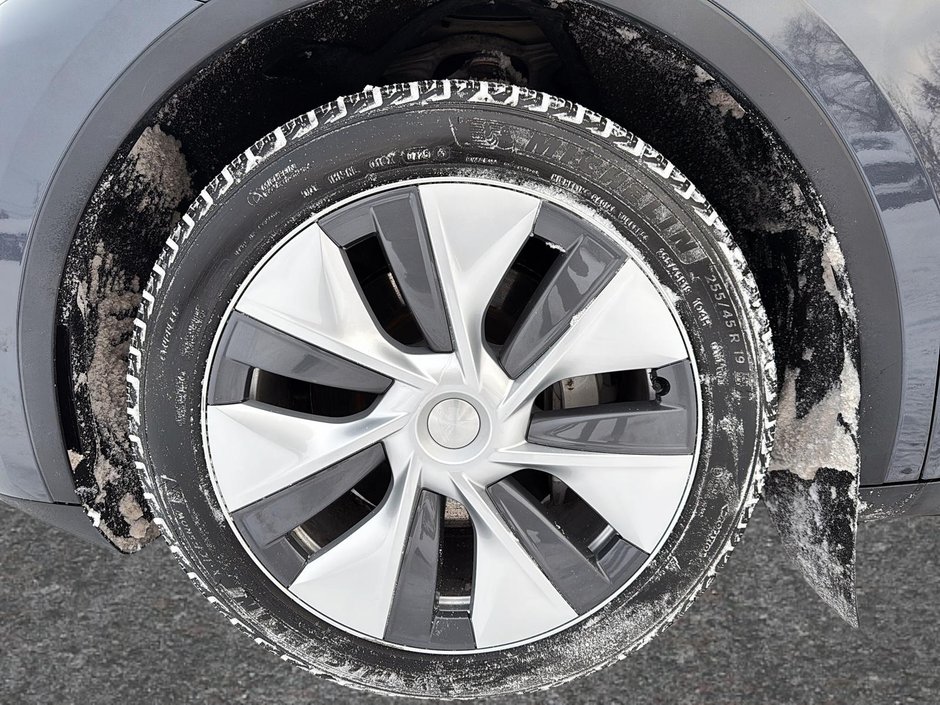 Tesla Model Y  2023-6