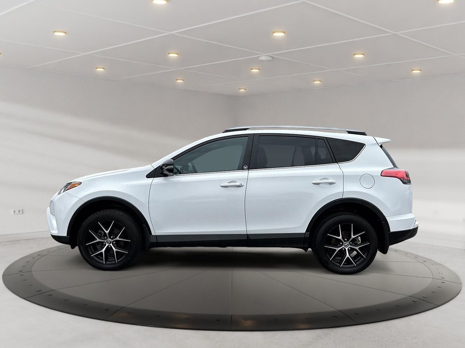 2018 Toyota RAV4 SE-4