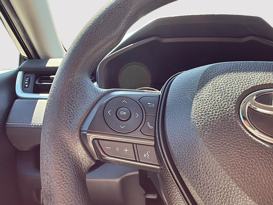 2019 Toyota RAV4 LE-12