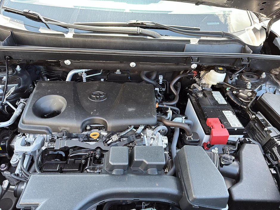 2023 Toyota RAV4 XLE AWD-6