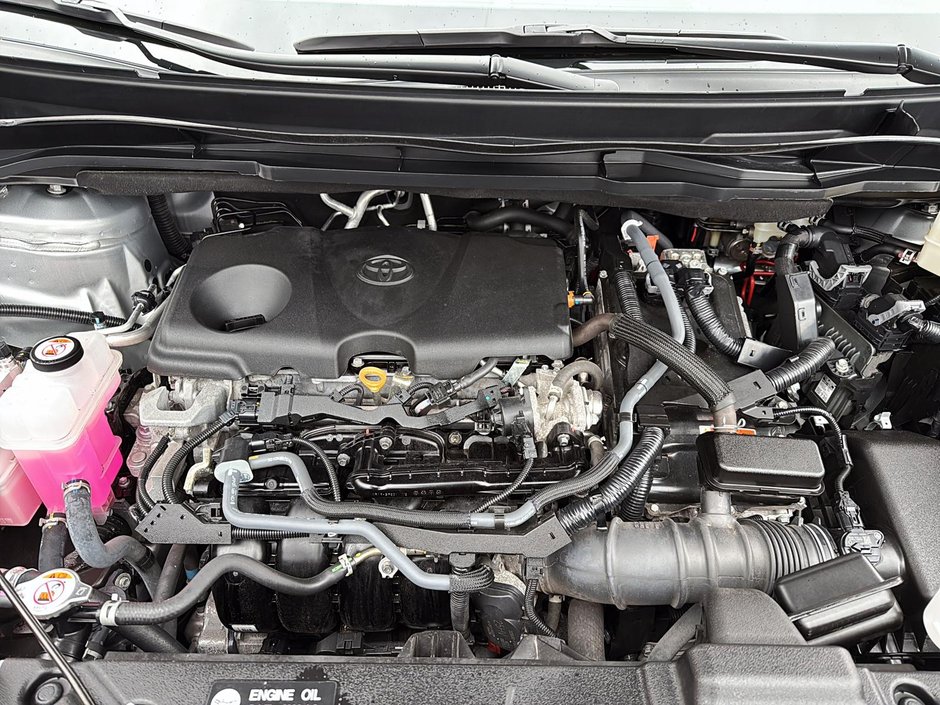 Toyota Sienna  2024-6