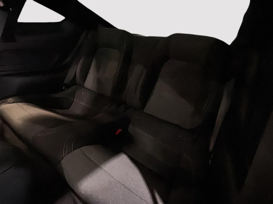 Ford Mustang GT 5.0 COUPE 6 VIT. MAN. APPLE CARPLAY CAM 2024-22