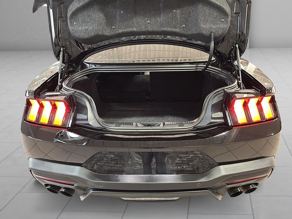 Ford Mustang GT 5.0 COUPE 6 VIT. MAN. APPLE CARPLAY CAM 2024-10