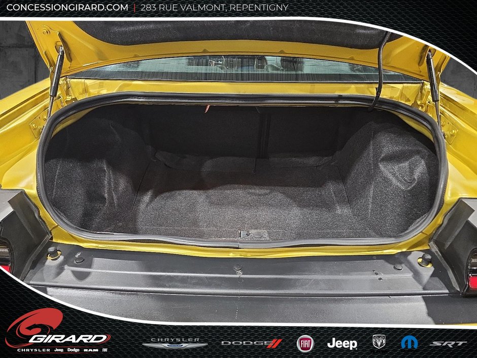 Dodge Challenger R/T 50th 2020-8