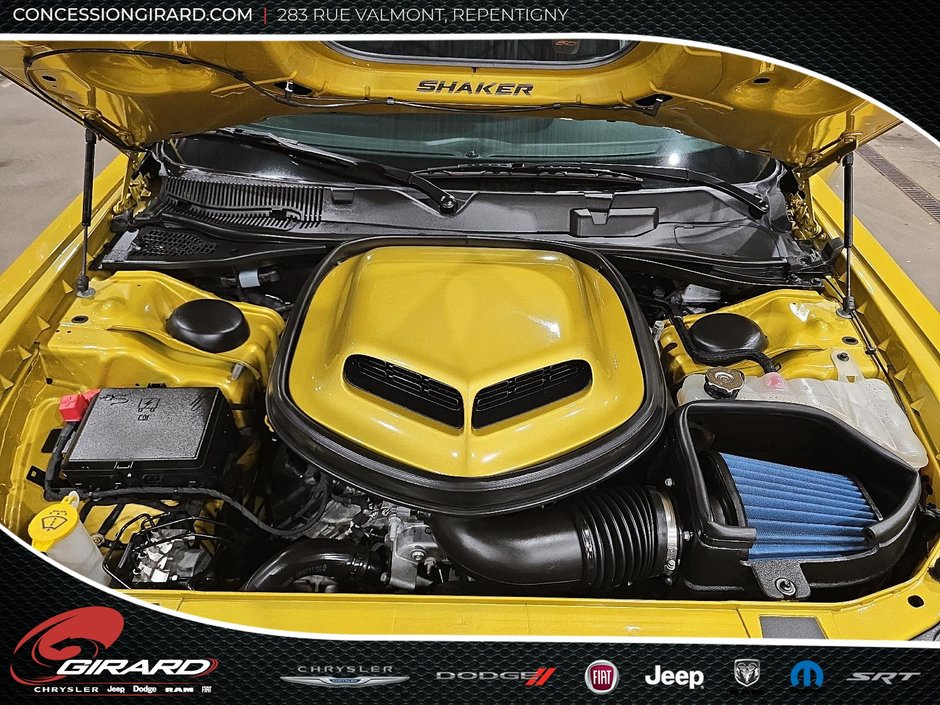 Dodge Challenger R/T 50th 2020-10