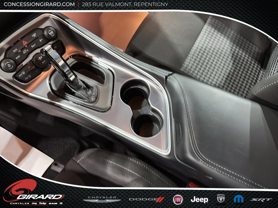 2021 Dodge Challenger R/T-19