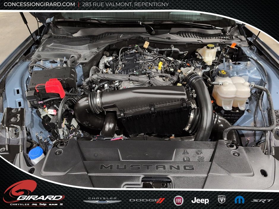 Ford Mustang Fastback 2024-10