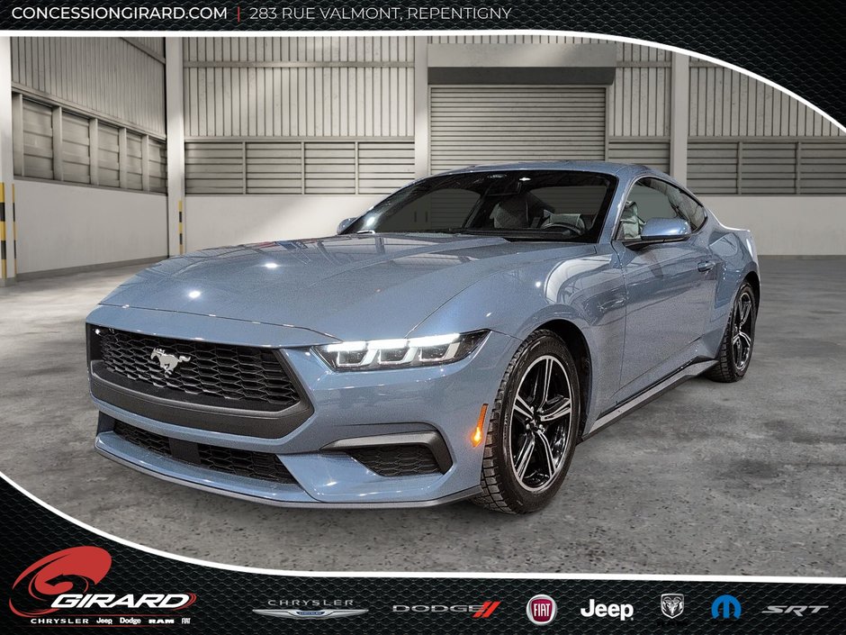 Ford Mustang Fastback 2024-0