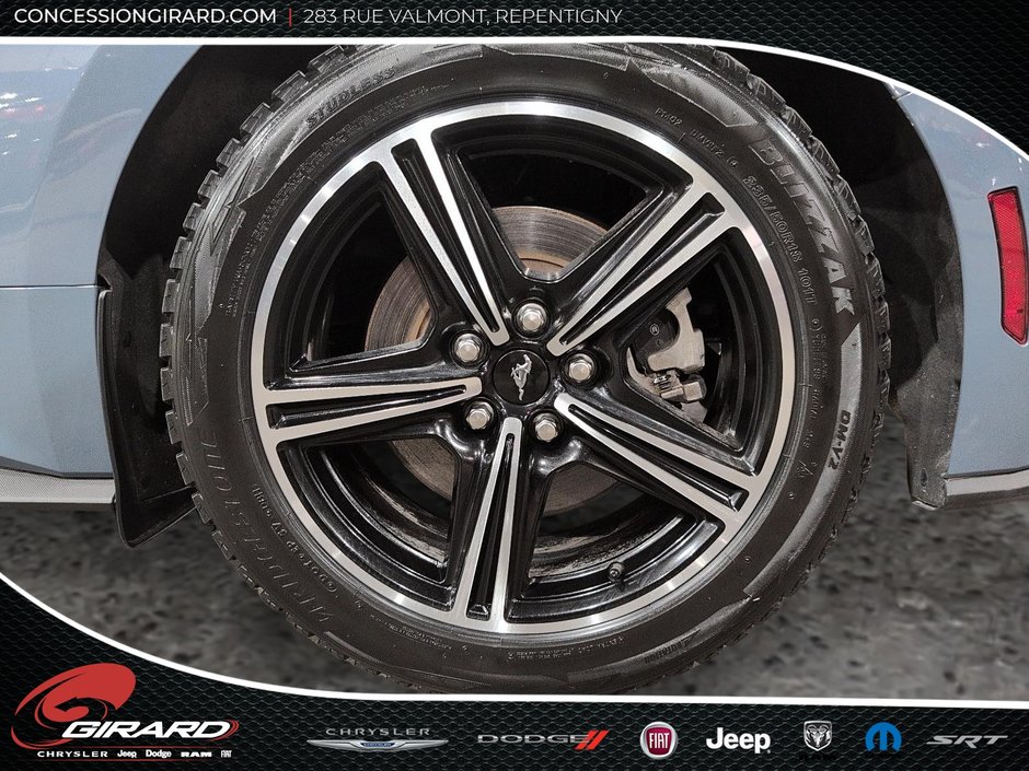 Ford Mustang Fastback 2024-9