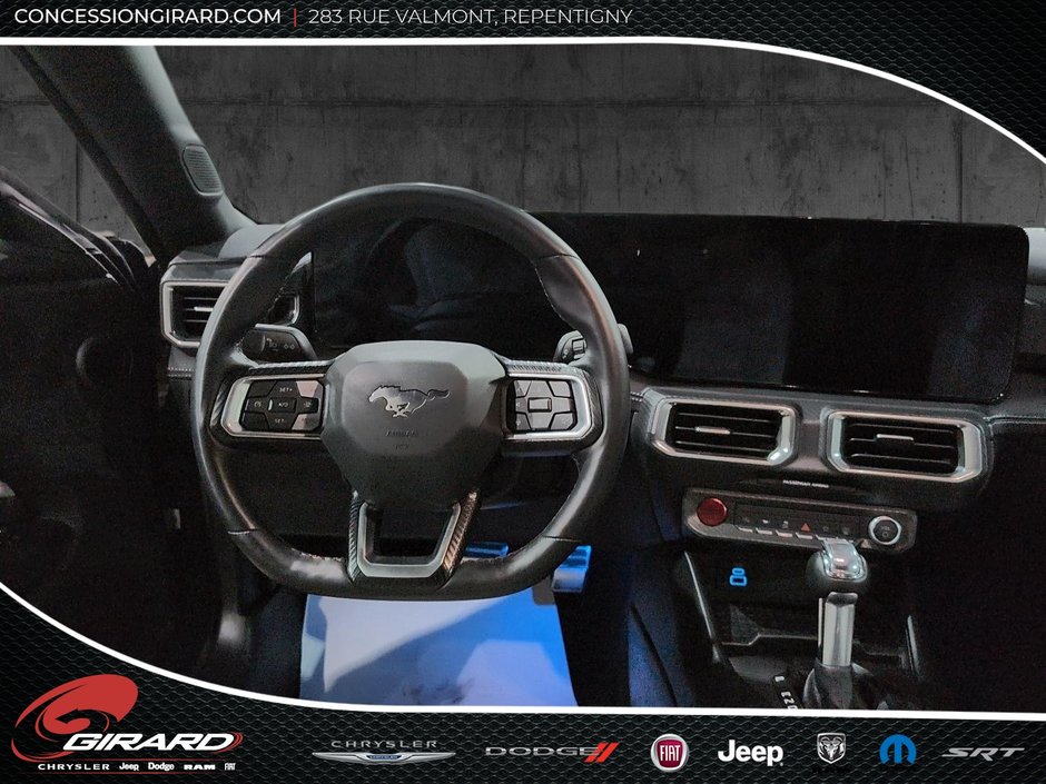 Ford Mustang Fastback 2024-13