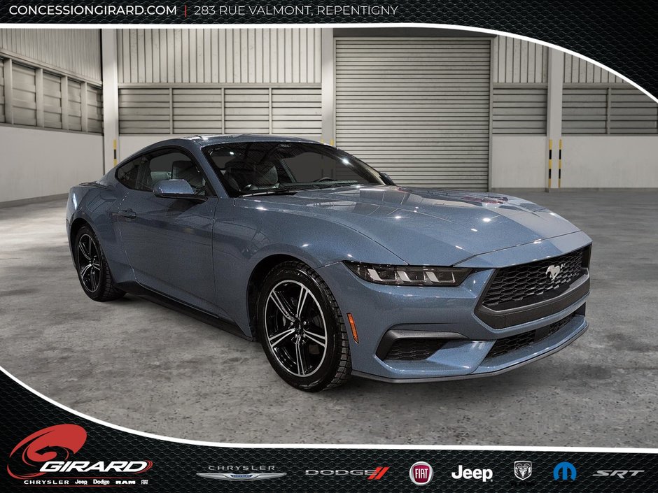 Ford Mustang Fastback 2024-2