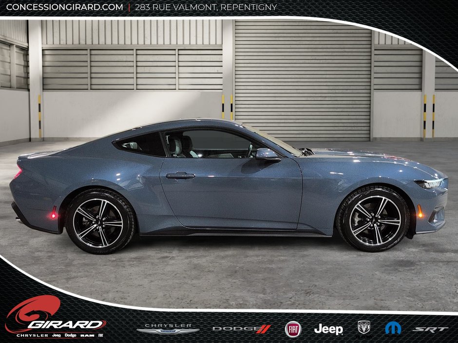 Ford Mustang Fastback 2024-3